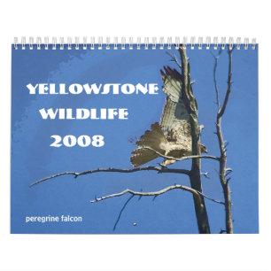 Kalender Yellowstone-Tier-2008
