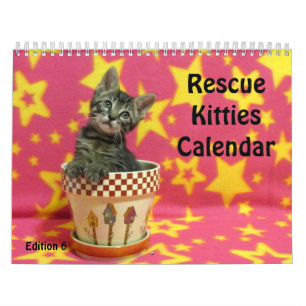 Kalender zur Rettung der Katze - Ausgabe 6