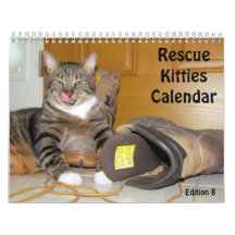 Kalender zur Rettung der Katze - Ausgabe 8