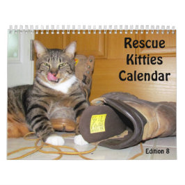 Kalender zur Rettung der Katze - Ausgabe 8