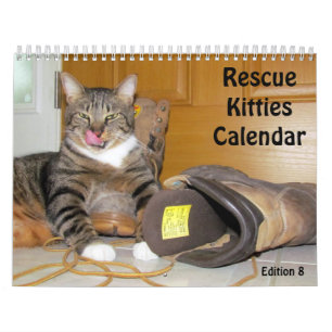 Kalender zur Rettung der Katze - Ausgabe 8