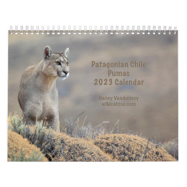 Kalenderpumpen 2023 des Chilen Kalender (Titelbild)