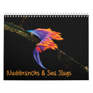 Kalenders & Sea Slugs Kalender