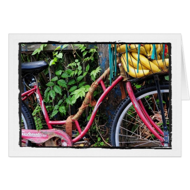 Kali Fahrrad (Vorderseite (Horizontal))