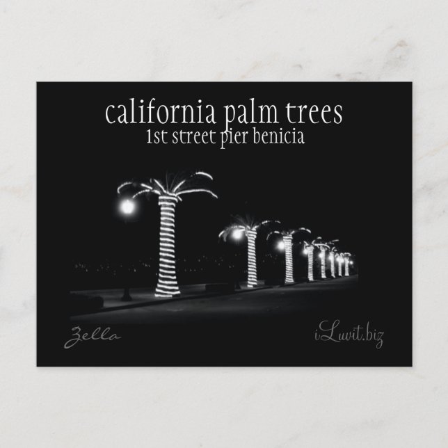 KALIFORNIA PALM TREES by iLuvit.biz - post card Postkarte (Vorderseite)