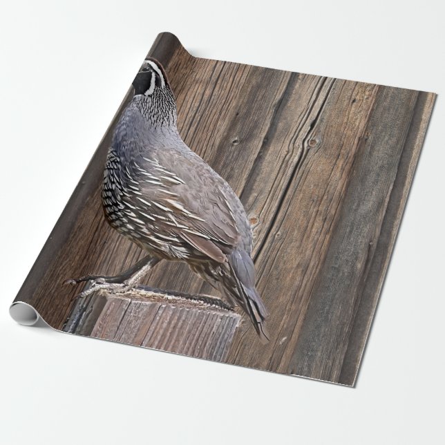 KALIFORNIA QUAIL AUF BARNBOARD GESCHENKPAPIER (Ungerollt)