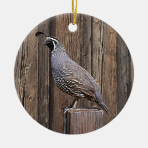 KALIFORNIA QUAIL AUF BARNBOARD KERAMIK ORNAMENT