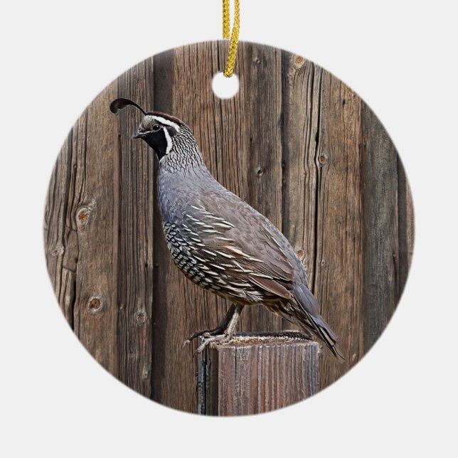 KALIFORNIA QUAIL AUF BARNBOARD KERAMIK ORNAMENT (Vorne)