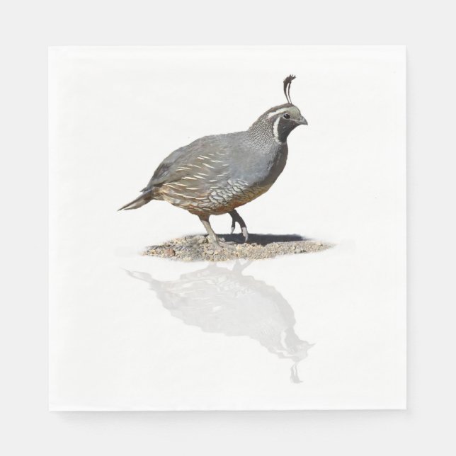 KALIFORNIA QUAIL REFLEKTIERT SERVIETTE (Vorderseite)