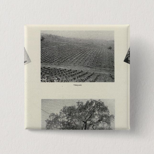 Kalifornien 4 button (Vorderseite)