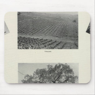 Kalifornien 4 mousepad