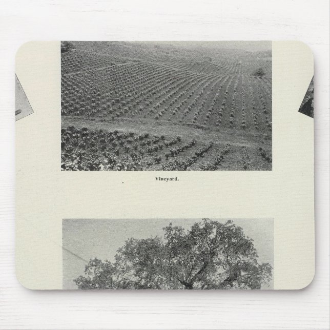 Kalifornien 4 mousepad (Vorne)