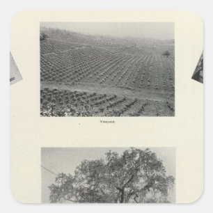 Kalifornien 4 quadratischer aufkleber