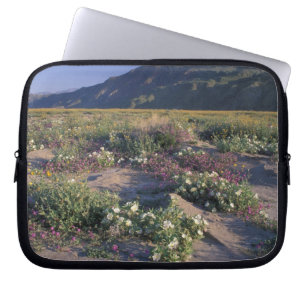 Kalifornien, Anza-Borrego Desert SP, Sand Laptopschutzhülle