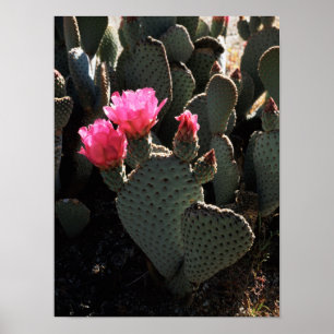 Kalifornien, Anza Borrego Wüste Staat Park 1 Poster