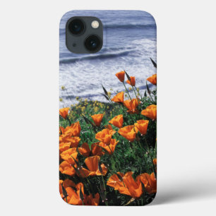 Kalifornien, Big Sur Küste, Kalifornischer Mohn Case-Mate iPhone Hülle