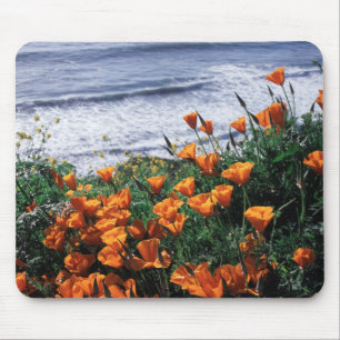 Kalifornien, Big Sur Küste, Kalifornischer Mohn Mousepad