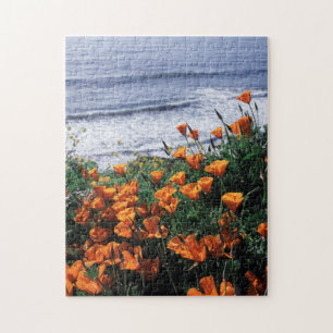 Kalifornien, Big Sur Küste, Kalifornischer Mohn Puzzle