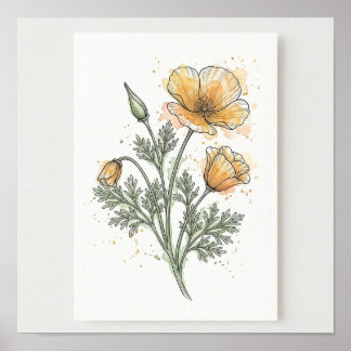 Kalifornien Botanische Illustrations-Quadratposter Poster
