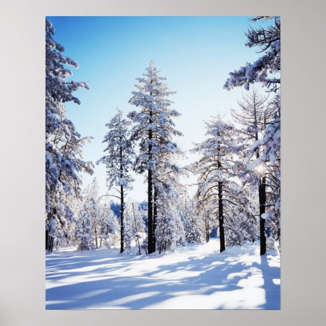Kalifornien, Cleveland National Forest, Laguna 2 Poster (Vorne)