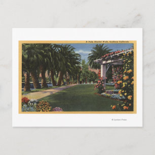 Kalifornien Ein schattiger Palmenspaziergang Postkarte