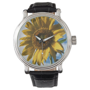 Kalifornien, eine riesige Sonnenblume (Helianthus) Armbanduhr