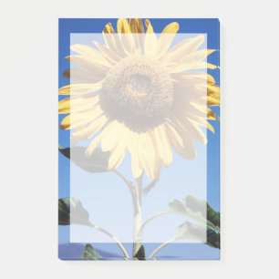 Kalifornien, eine riesige Sonnenblume (Helianthus) Post-it Klebezettel