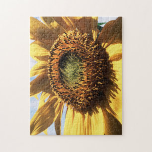 Kalifornien, eine riesige Sonnenblume (Helianthus) Puzzle