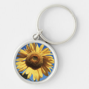 Kalifornien, eine riesige Sonnenblume (Helianthus) Schlüsselanhänger