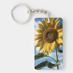 Kalifornien, eine riesige Sonnenblume (Helianthus) Schlüsselanhänger