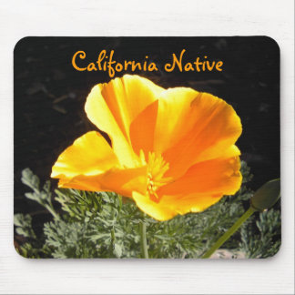 Kalifornien-Eingeborener Mousepad