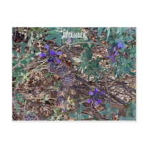 KALIFORNIEN FARBFEIERSCHAFT: DEZEMBER POSTCARD