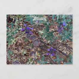 KALIFORNIEN FARBFEIERSCHAFT: DEZEMBER POSTCARD POSTKARTE