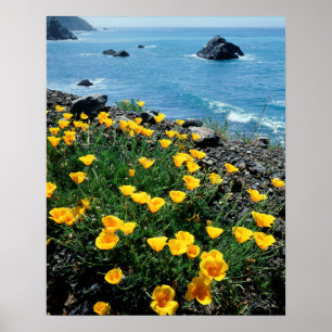 Kalifornien, große saure Küste, Hauptküste 1 Poster