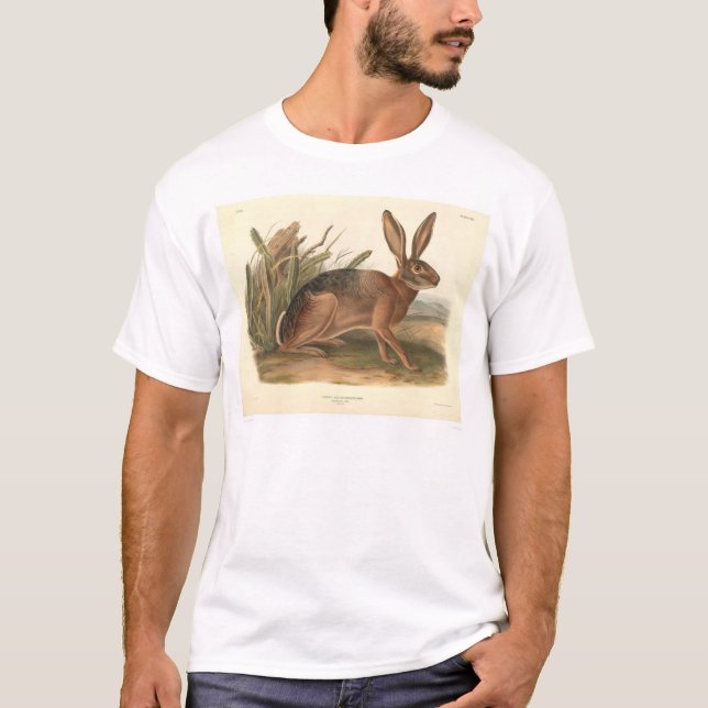 Kalifornien-Hasen durch Audubon (0177A) T-Shirt (Vorderseite)