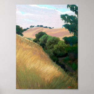 Kalifornien-Hügel Poster