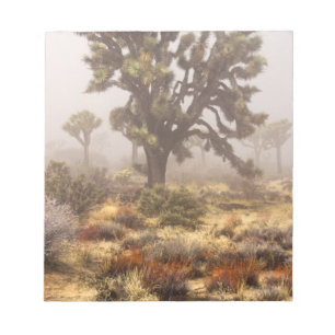 Kalifornien: Joshua Tree National Monument, Notizblock