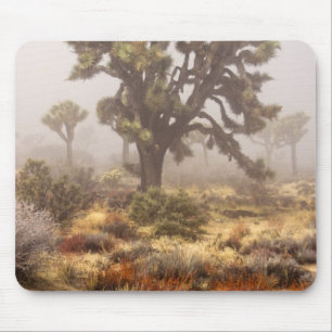 Kalifornien: Joshua-Tree-Nationalmonument, Mousepad