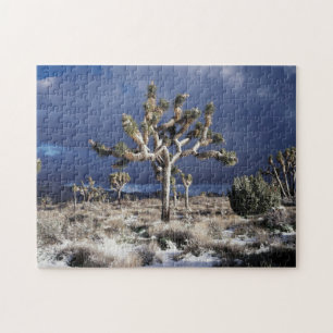 Kalifornien, Joshua-Tree-Nationalpark Puzzle
