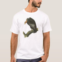 Kalifornien-Kondor durch Audubon