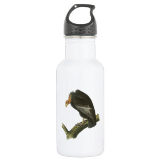 Kalifornien-Kondor durch Audubon Trinkflasche