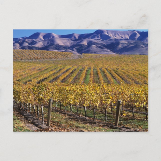 Kalifornien, Landkreis San Luis Obispo, Edna Tal Postkarte (Vorderseite)