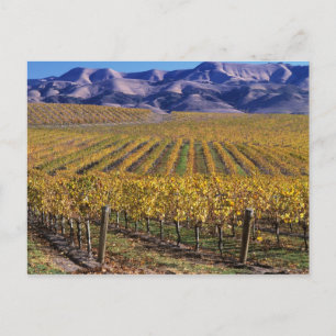 Kalifornien, Landkreis San Luis Obispo, Edna Tal Postkarte