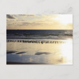 Kalifornien - Manhattan Beach. K Postkarte