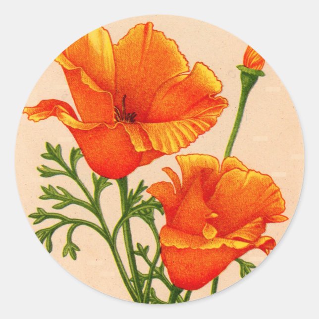Kalifornien-Mohn in Orange Runder Aufkleber (Vorderseite)