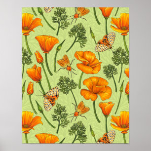 Kalifornien Mohn und Motten auf Honigtau Poster
