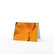 Kalifornien-Mohnblume