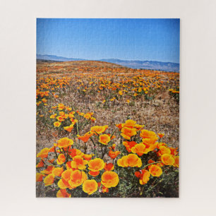 Kalifornien-Mohnblume stellt - Blumen - 16x20 - PC Puzzle