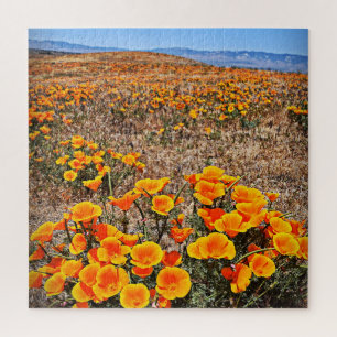Kalifornien-Mohnblume stellt - Blumen - 20x20 - PC Puzzle
