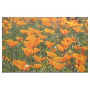 Kalifornien-Mohnblumen-Feld Stoff